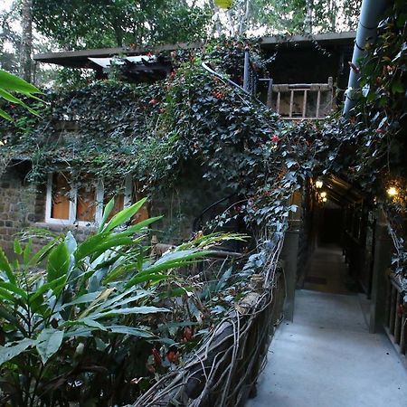 Greenspaces B&B Munnar Bagian luar foto