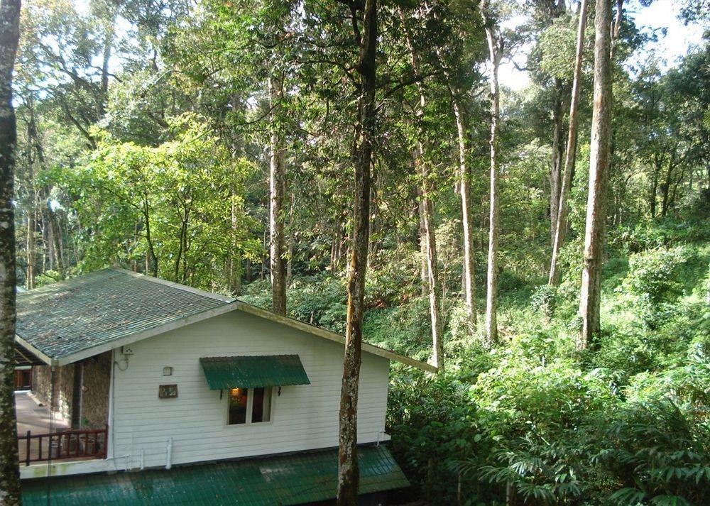 Greenspaces B&B Munnar Bagian luar foto