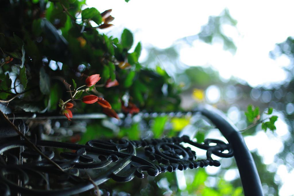 Greenspaces B&B Munnar Bagian luar foto