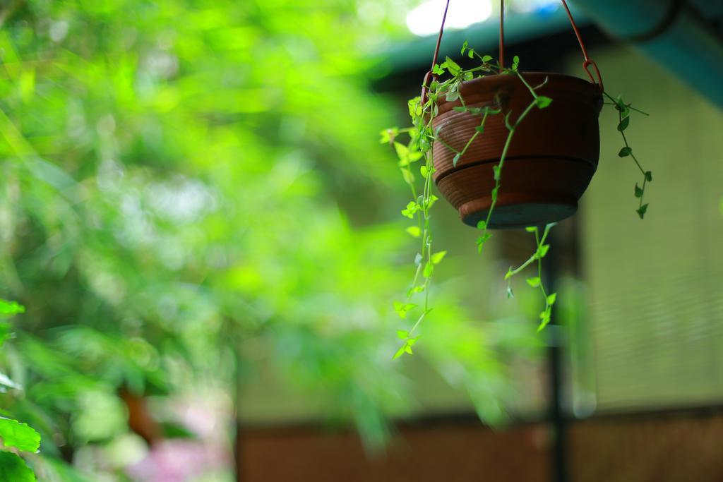 Greenspaces B&B Munnar Bagian luar foto