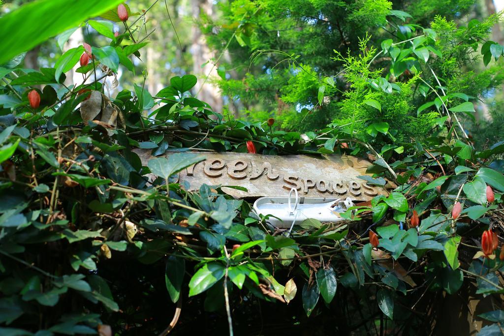 Greenspaces B&B Munnar Bagian luar foto