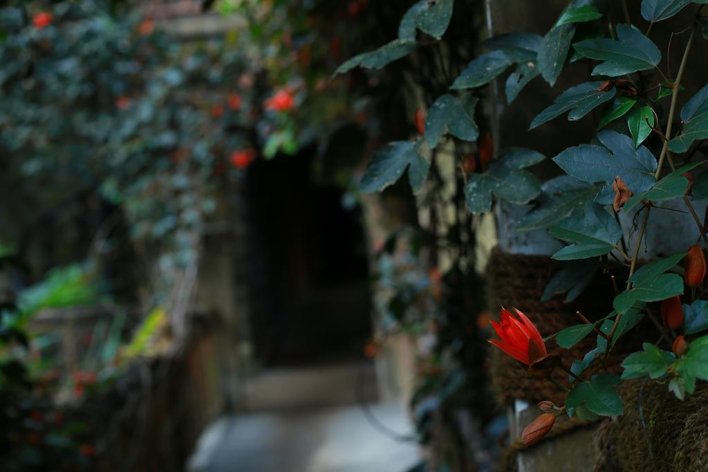 Greenspaces B&B Munnar Bagian luar foto