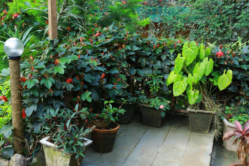 Greenspaces B&B Munnar Bagian luar foto