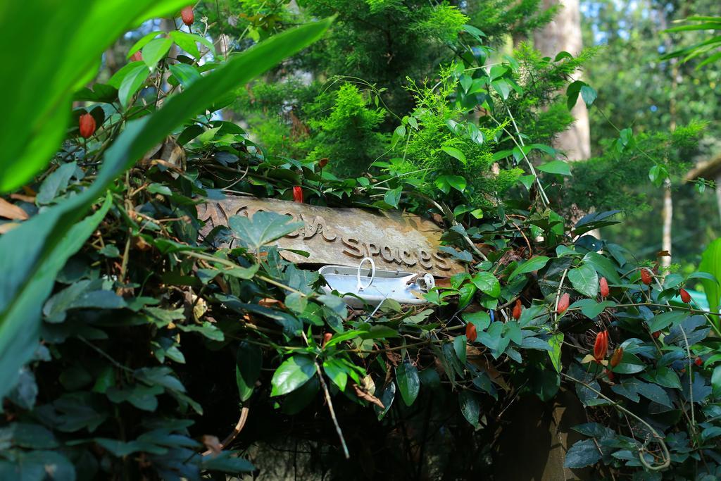 Greenspaces B&B Munnar Bagian luar foto