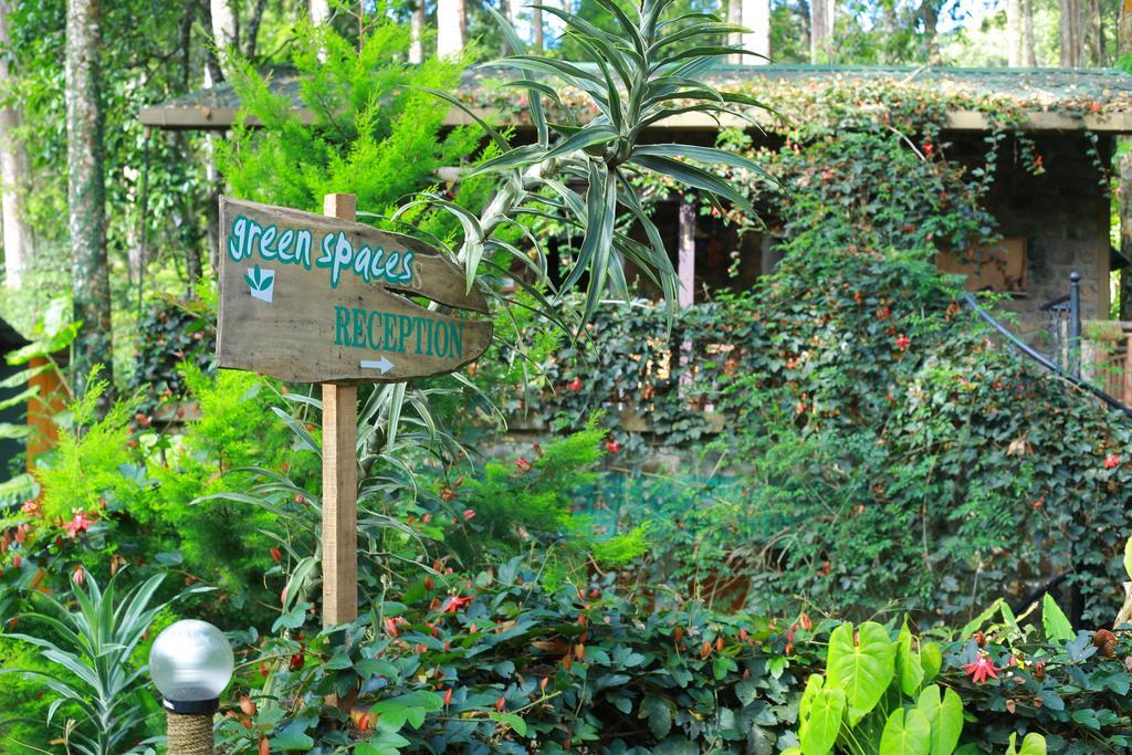 Greenspaces B&B Munnar Bagian luar foto