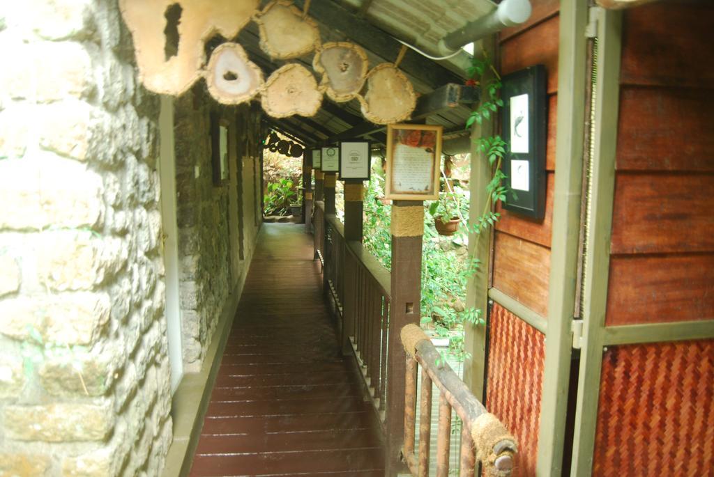 Greenspaces B&B Munnar Bagian luar foto