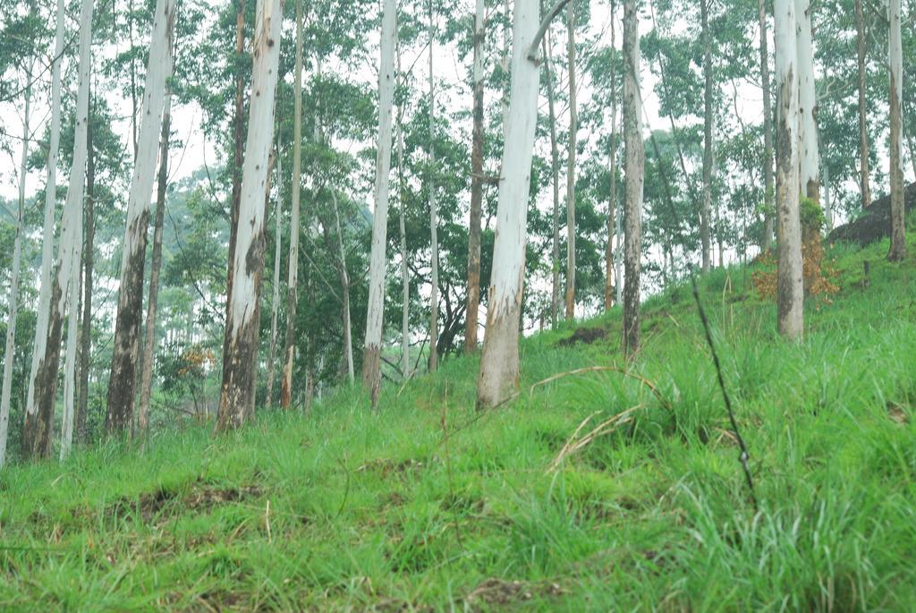 Greenspaces B&B Munnar Bagian luar foto