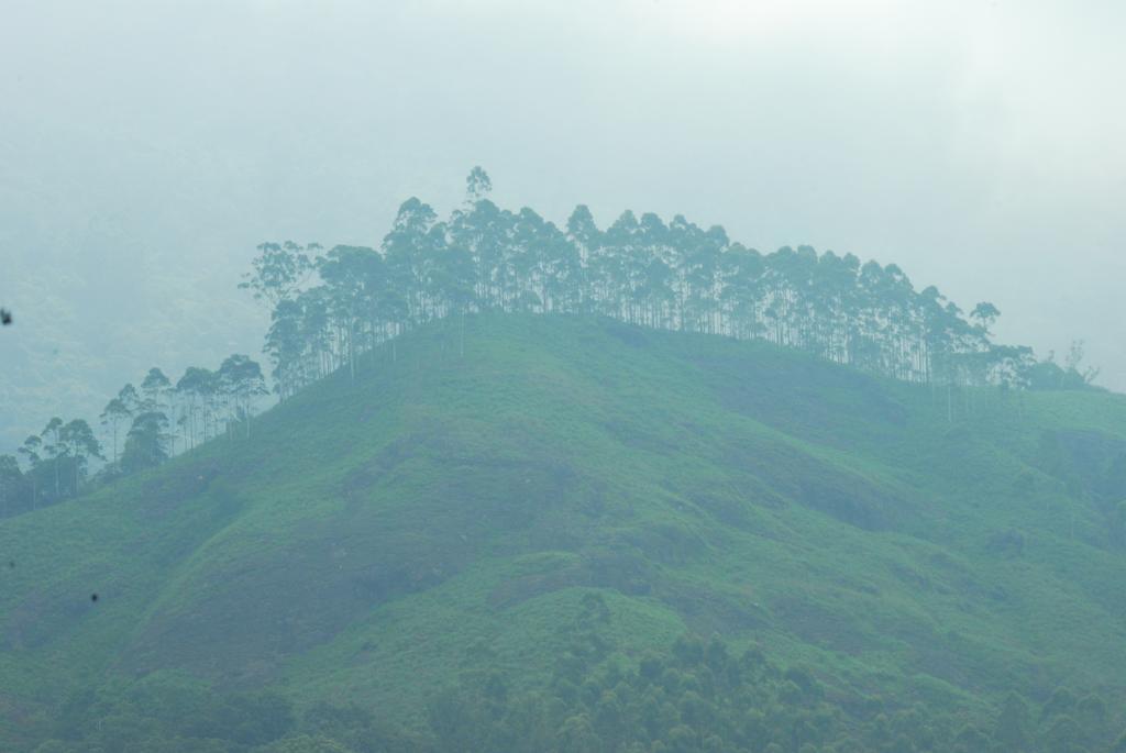 Greenspaces B&B Munnar Bagian luar foto