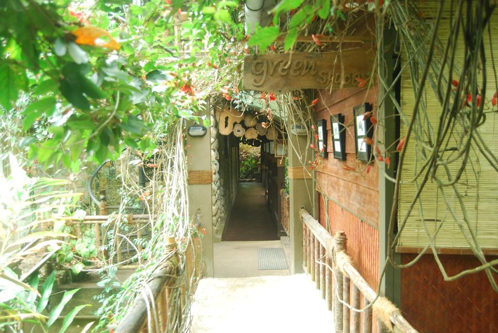 Greenspaces B&B Munnar Bagian luar foto