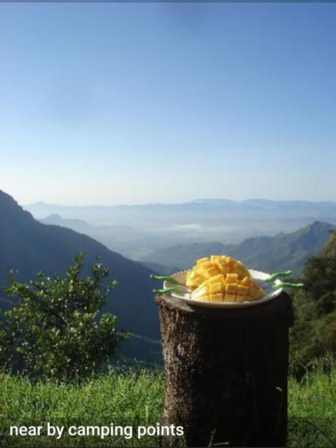 Greenspaces B&B Munnar Bagian luar foto