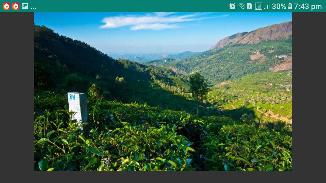 Greenspaces B&B Munnar Bagian luar foto